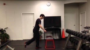 'Box Step-Up to Reverse Lunge | DiVerge Fitness | Columbus GA Gym'