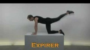 'coach video fitness musculation -exercice : les fessiers'