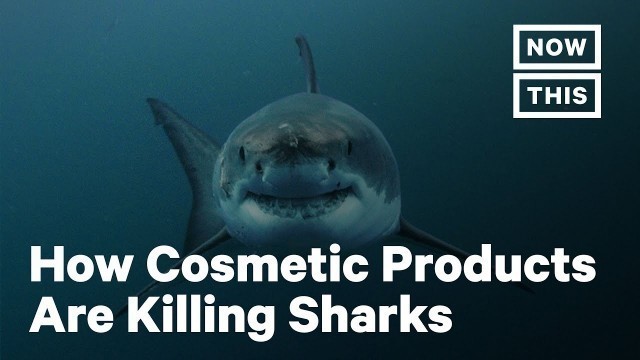 'How Your Cosmetics Are Killing Sharks | NowThis Earth'