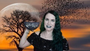'When Was the Last Time You Were Wrong? Black Moon Orb of Light Palette #IndieMakeup | PHYRRA'