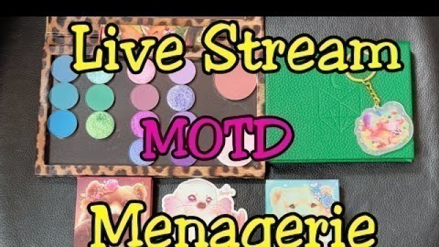 'Live Stream: Menagerie Cosmetics Haul, Swatches & Eye Look'