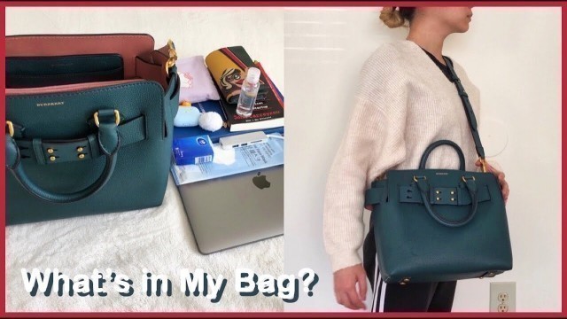 '왓츠인마이백? | What\'s in My Bag? (BURBERRY bag, DIOR cosmetics, KakaoFriends, D&G perfume)'