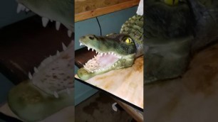 'Tarte Cosmetics Swamp Queen logo 3D alligator cake!'