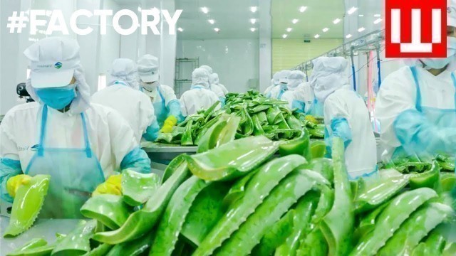 'How To Make Natural Cosmetics | Organic Cosmetic Factory Tour'