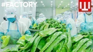 'How To Make Natural Cosmetics | Organic Cosmetic Factory Tour'
