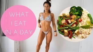 'What I REALLY Eat In A Day During My CHALLENGE + Physique Update!'