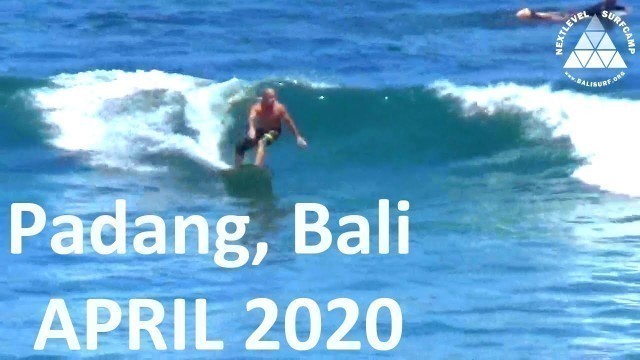 'Bali (April 2020) Surfing Padang Padang |Tiffany and Larry |  SUP and EcoBean catching all the waves'