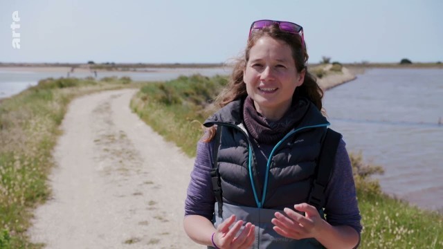 'Stromaufwärts! Europas Wasserwege: Von der Camargue in die Ardèche Doku (2019)'