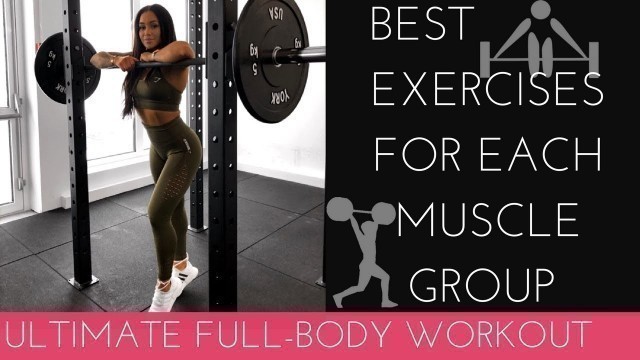 'MY FAV EXERCISES FOR EACH MUSCLE GROUP - ULTIMATE FULL BODY WORKOUT!'