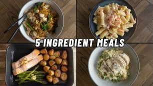 '5 Ingredient High Protein Meals **quick & easy recipes**'