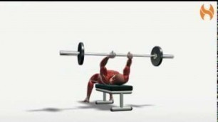 'Exercise Videos- Supine Barbell French Curl'