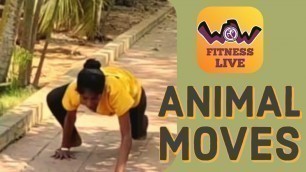 'WOW Fitness | Home Workouts | Animal Movement'
