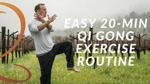 '20-Min Qi Gong Exercise Routine - Easy Home Workout with Lee Holden'