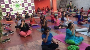 'Yoga Sessions at Wow'