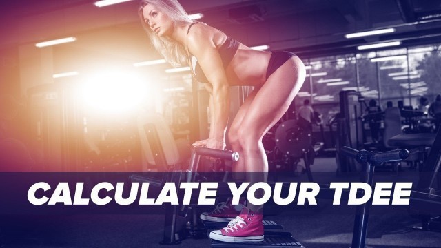 'TDEE Calculator - Find Out How Much Energy You Burn | Tiger Fitness'