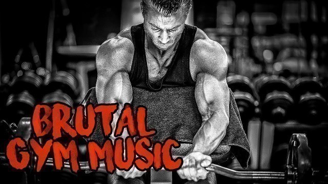 'BRUTAL Gym Music 2018 - Motivation Music #3 - THIS IS YOUR YEAR!'