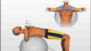 'Chest Exercises: Dumbbell Press on swiss ball'