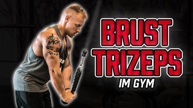 'PUSH DAY im Gym | Trainingsplan für Brust, Schulter und Trizeps im Fitnessstudio (Muskelaufbau)'