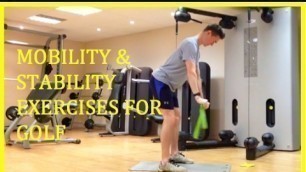 'Mobility and Stability Exercises for Golf'