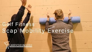 'Golf Fitness - Scapular Mobility Exercise - Overhead Foam Rolling'