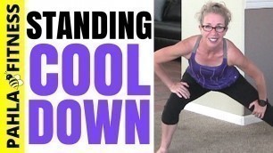 '5 Minute STANDING Cool Down STRETCHES | Dynamic STRETCHING for After a Cardio Workout'