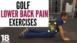 'Golf Lower Back Pain Exercises: 4 simple exercises you can do to build a better back (and core!)'