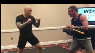 'Joe Rogan Training | Workout Highlights | Motivation'