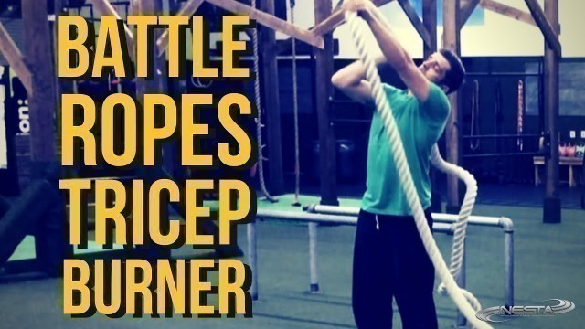 'Battle Ropes Triceps Pull | Battling Ropes Training for Beginners'