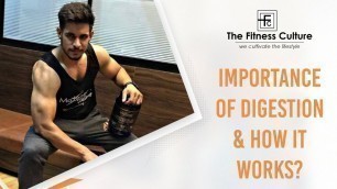 'Importance of Digestion & How it works | Kailash Ramchandani | The Fitness Culture'