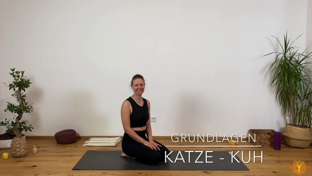 'Grundlagen 2: Katze Kuh'