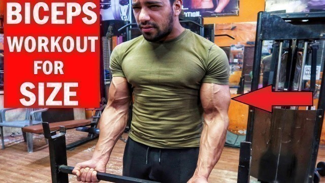 'TOP 3 BICEPS EXERCISE - Complete Bicep Workout for MASS'