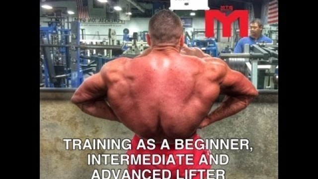 'How to Train as a Beginner, Intermediate and Advanced Lifter | Tiger Fitness'