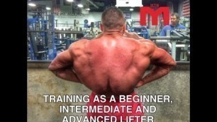 'How to Train as a Beginner, Intermediate and Advanced Lifter | Tiger Fitness'