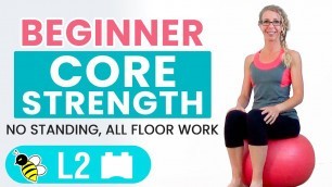 'BEGINNER CORE | 15 Minute STABILITY BALL Workout for BEGINNERS'