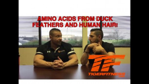 'Amino Acids From Duck Feathers and Human Hair! | Tiger Fitness'