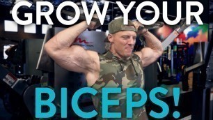 'Quick Easy Tips to Grow Your Biceps'