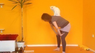 'Yoga mit Lucky Luciano - Uddiyana bandha - Magenheber mit Katze'