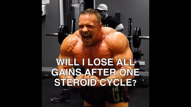 'Will I Lose All Gains After One Cycle? | Tiger Fitness'