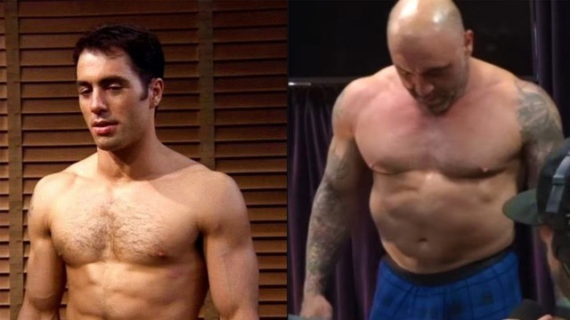 'Joe Rogan Workout Routine/ Training 2020'