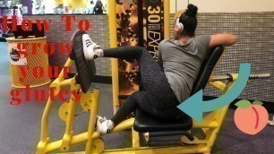 'How to grow your glutes | planet fitness'