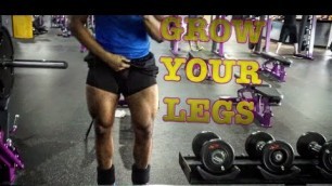 'LEG Workout For Beginners At Planet Fitness | For Men & Women | HIGH VOLUME'