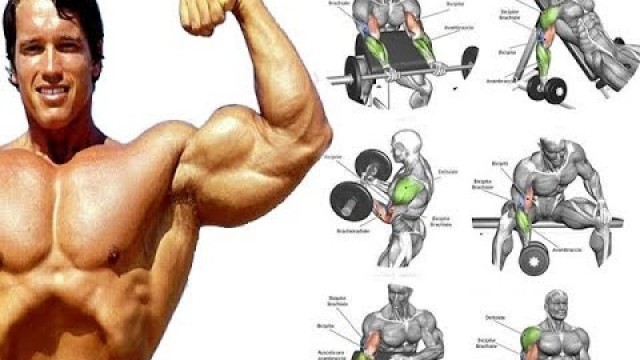 '17 TOP BICEPS EXS FOR MASS / BICEPS WORKOUT'