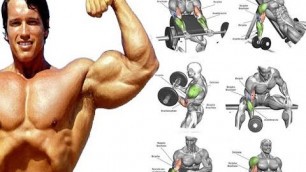 '17 TOP BICEPS EXS FOR MASS / BICEPS WORKOUT'