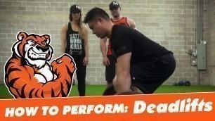 'How to Perform Deadlifts with Movement Specialist Dr. Stu | Tiger Fitness'