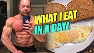'What I Eat in a Day - Boxing Fuel | Tiger Fitness'