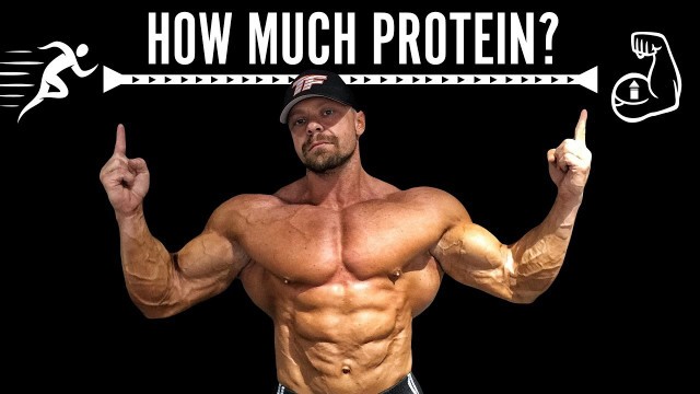 'How Much Protein Do You Need When Cutting? | Tiger Fitness'