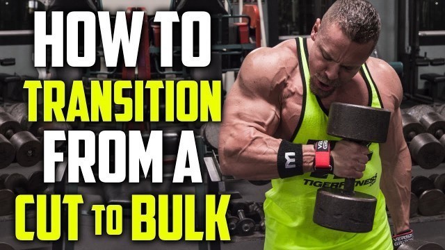 'How to Transition From a Cut to a Bulk | Tiger Fitness'