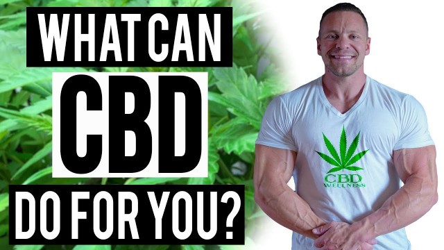 'What is CBD, or Cannabidiol? | Tiger Fitness'