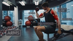 'Exercise Anatomy: Arms Workout | Pietro Boselli'