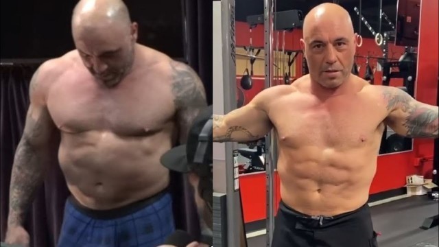 'Joe Rogan Carnivore Diet Before and After Results UPDATE'